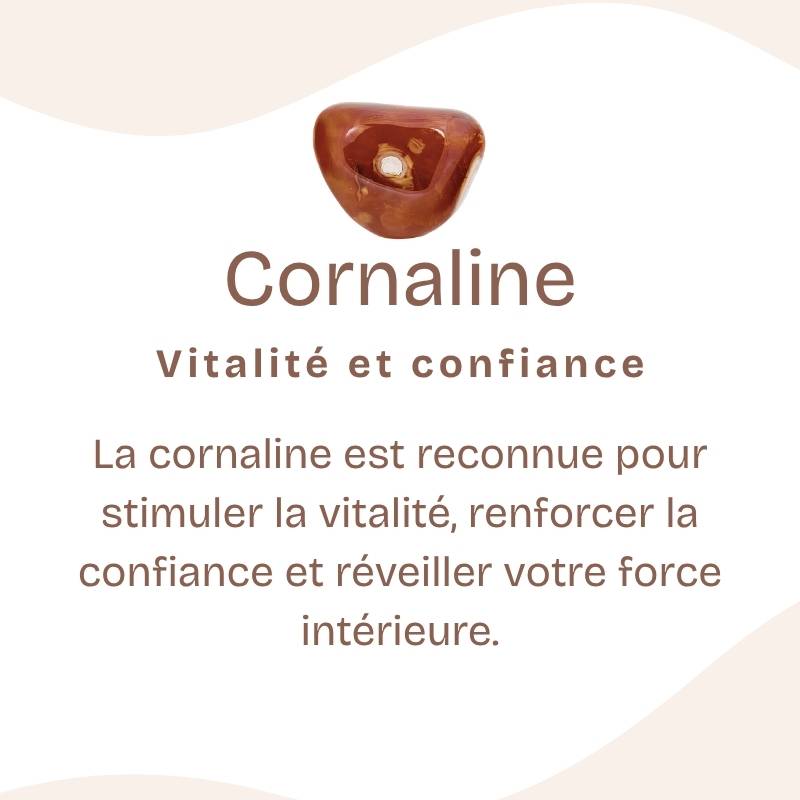 Boucles d'oreilles "Ancrage Doux" en Cornaline (Argent 925)