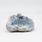 Géode de Célestine Réf : CELM6 470g