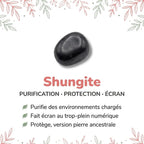 Vertus de la pierre : Shungite
